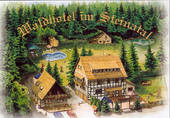 Bild:Restaurant `Waldschänke` in Steina