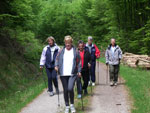 Bild_Nordic Walking