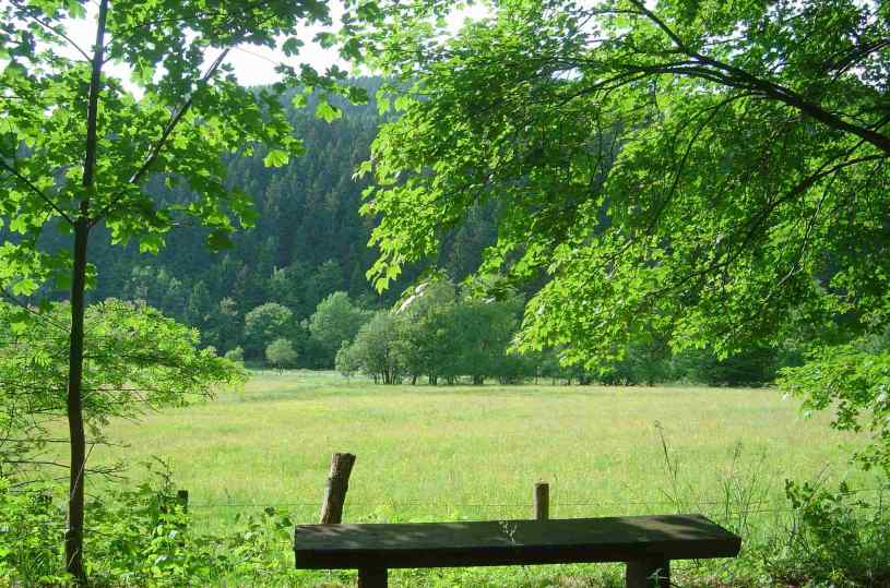 Ruheplatz im Südharz